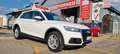Audi Q5 2.0 TDI 190 CV quattro S tronic Business Bianco - thumbnail 7