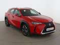 Lexus UX 250h Premium 4WD Rojo - thumbnail 8