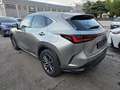 Lexus NX 450h+ 450h+ 2.5 phev Premium 4WD e-cvt Gris - thumbnail 4