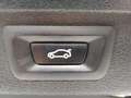 BMW X5 XDRIVE 25D AUTOM. 231CV 7POSTI TETTO NAV PELLE ITA Weiß - thumbnail 20