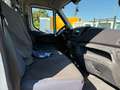 Iveco Daily 35C12/2.3/RIBALTABILE/190000 KM/2017 Blanc - thumbnail 8