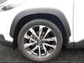 Toyota Corolla Cross 2,0 Hybrid Design 2WD       8-fach bereift! AHK! Weiß - thumbnail 15