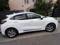 Ford Puma Puma 1,0 EcoBoost Hybrid ST-Line Vignale ST-Line Vignale Weiß - thumbnail 4