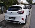 Ford Puma Puma 1,0 EcoBoost Hybrid ST-Line Vignale ST-Line Vignale Weiß - thumbnail 5