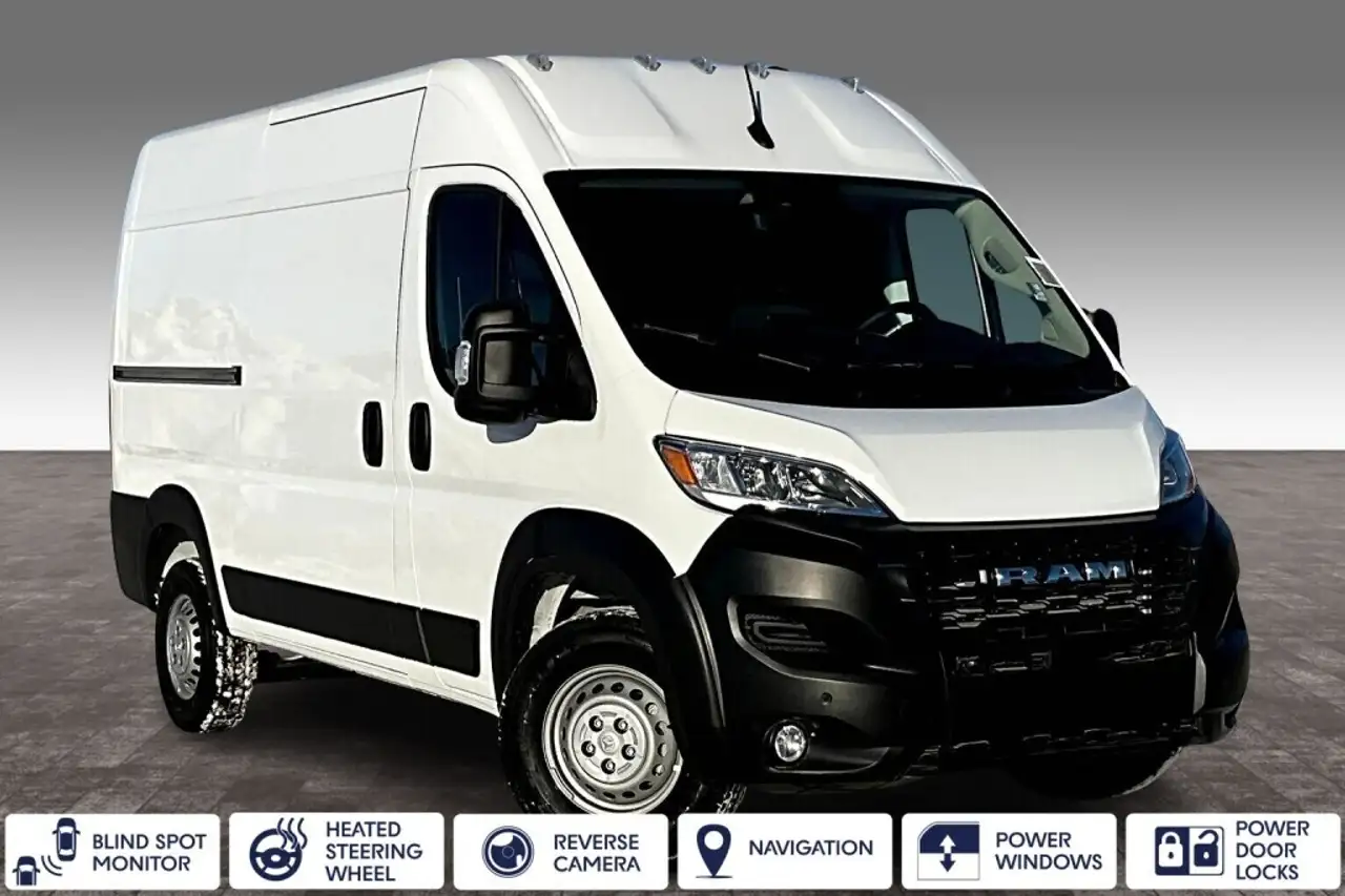 RAM Promaster снимка RAM Promaster