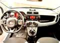 Fiat Panda Panda 1.0 firefly hybrid City Life s 70cv neop. Bianco - thumbnail 9
