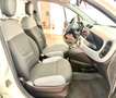 Fiat Panda Panda 1.0 firefly hybrid City Life s 70cv neop. Bianco - thumbnail 12
