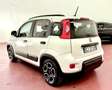 Fiat Panda Panda 1.0 firefly hybrid City Life s 70cv neop. Bianco - thumbnail 6