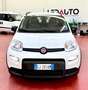 Fiat Panda Panda 1.0 firefly hybrid City Life s 70cv neop. Bianco - thumbnail 2