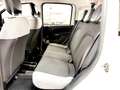 Fiat Panda Panda 1.0 firefly hybrid City Life s 70cv neop. Bianco - thumbnail 13