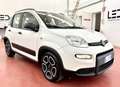 Fiat Panda Panda 1.0 firefly hybrid City Life s 70cv neop. Bianco - thumbnail 1