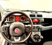 Fiat Panda Panda 1.0 firefly hybrid City Life s 70cv neop. Bianco - thumbnail 10