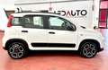 Fiat Panda Panda 1.0 firefly hybrid City Life s 70cv neop. Bianco - thumbnail 4