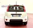 Fiat Panda Panda 1.0 firefly hybrid City Life s 70cv neop. Bianco - thumbnail 7