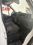 Ford Transit FT 350 L3 Van Ambiente Tr. Tra. 130 Blanco - thumbnail 6