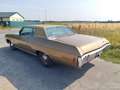 Chevrolet Impala Custom Coupé, 3. Hand, orig. 53.300 Meilen Gold - thumbnail 3