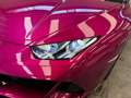 Lamborghini Huracán EVO Spyder *SOLLEVATORE*MAI INCIDENTATA* Mauve - thumbnail 6