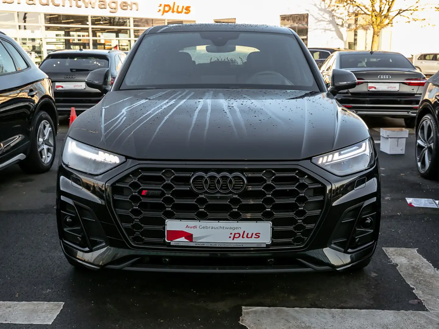 Audi SQ5 Sportback TDI tiptronic Nav Matrix Luftfede. Schwarz - 2