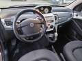 Lancia Ypsilon 1.3 mjt 16v Oro 90cv Braun - thumbnail 11