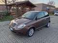 Lancia Ypsilon 1.3 mjt 16v Oro 90cv Braun - thumbnail 1
