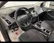 Ford Focus 1.5 TDCi 190 CV Start&Stop SW Business 2018 Bianco - thumbnail 13