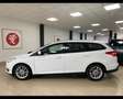 Ford Focus 1.5 TDCi 190 CV Start&Stop SW Business 2018 Bianco - thumbnail 3