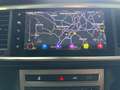 SEAT Ateca 2.0 TDI 4Drive DSG Xperience *Pano*AHK* Grün - thumbnail 10