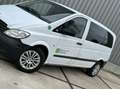 Mercedes-Benz Vito Bus 109 CDI 9 Persoons - Taxibus - Rijdt Goed White - thumbnail 6