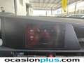 Kia Niro 1.6 HEV Concept 141 Rojo - thumbnail 7