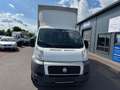 Fiat Ducato 130 (Rs: 4035 mm) L5 PLANE SPRIEGEL Weiß - thumbnail 7