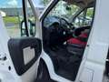 Fiat Ducato 130 (Rs: 4035 mm) L5 PLANE SPRIEGEL Weiß - thumbnail 11