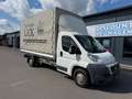 Fiat Ducato 130 (Rs: 4035 mm) L5 PLANE SPRIEGEL Weiß - thumbnail 6