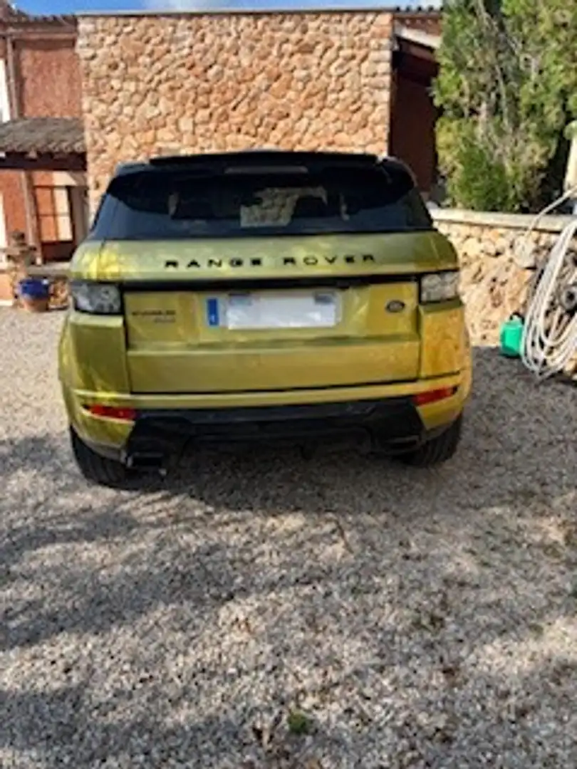 Land Rover Range Rover Evoque SD4 Aut. Yellow Edition - 2