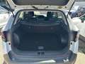 Kia Sportage 1.6 CRDi MHEV Business Weiß - thumbnail 15