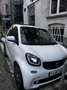 smart forTwo 17.6 kWh ED Business Solution Wit - thumbnail 1