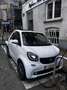 smart forTwo 17.6 kWh ED Business Solution Blanc - thumbnail 3