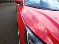 Ford Focus ST-Line X Rouge - thumbnail 12