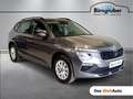 Skoda Kamiq Selection TSI Grau - thumbnail 1
