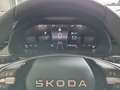 Skoda Kamiq Selection TSI Grau - thumbnail 9