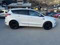 Ford Kuga Kuga 2.0 TDCI 180 CV S&S 4WD Powershift Vignale Blanc - thumbnail 6