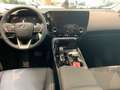 Lexus NX 450h+ 2.5i PHEV AWD Executive Line E-CVT Gris - thumbnail 6
