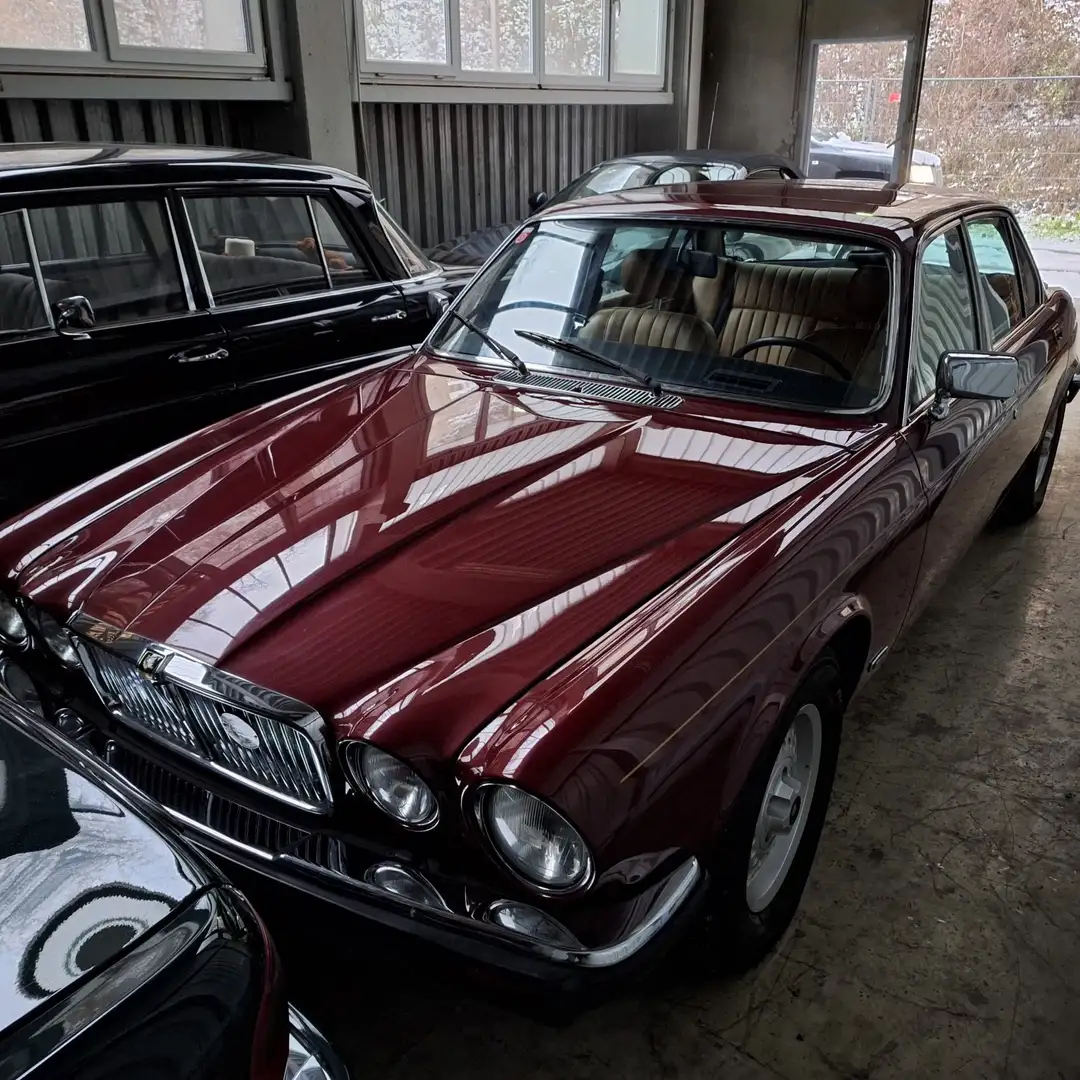 Jaguar XJ6 Sovereign Rojo - 1