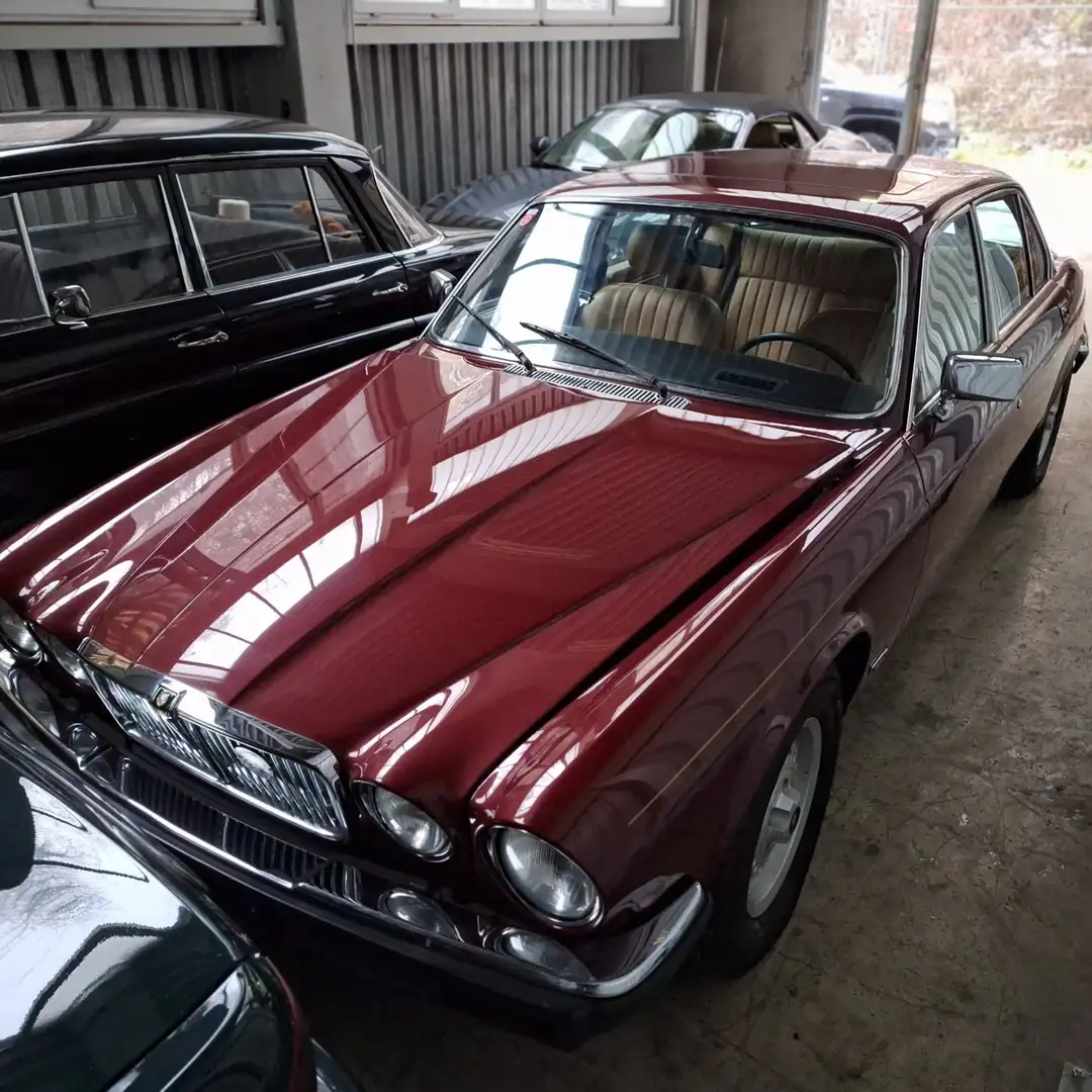 Jaguar XJ6 Sovereign Rojo - 2