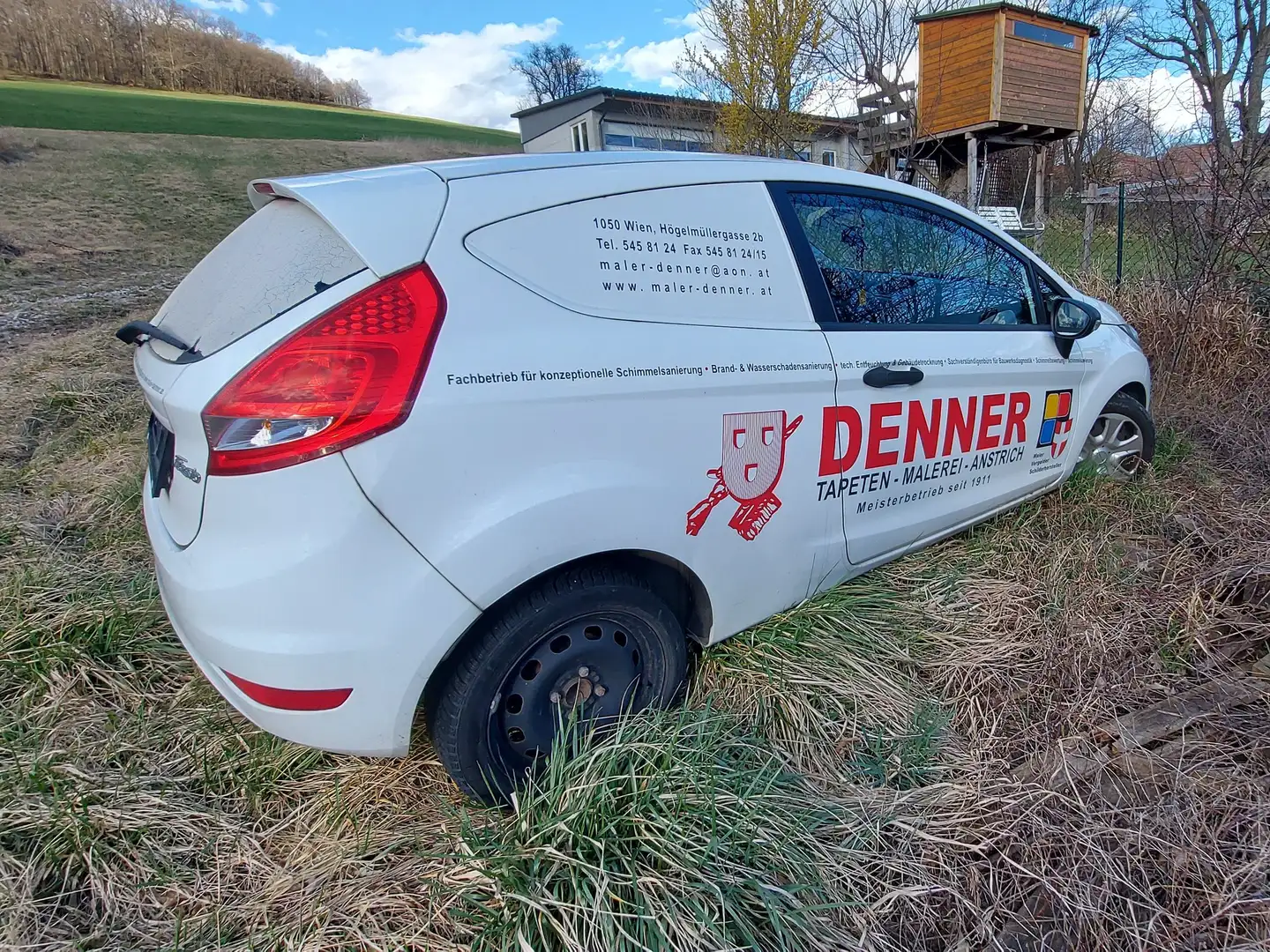 Ford Fiesta Fiesta Ambiente 1,4 TDCi Ambiente Alb - 2
