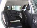 Jeep Compass 1.6 mjt Longitude 2wd 120cv my19 Bianco - thumbnail 9