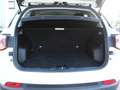Jeep Compass 1.6 mjt Longitude 2wd 120cv my19 Bianco - thumbnail 15