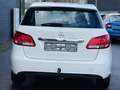 Mercedes-Benz B 180 GARANTI ECRAN BLUETOOTH CLIM EURO 6B Blanc - thumbnail 21