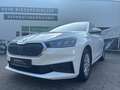 Skoda Fabia 1.0 Ambition *SMART LINK*LED *TEMPO *NAVI *SITZHZ Weiß - thumbnail 6