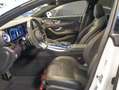 Mercedes-Benz AMG GT AMG GT 53 4M+ DYNAMIC PLUS Night Pano Carbon AHK Beyaz - thumbnail 21