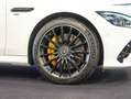 Mercedes-Benz AMG GT AMG GT 53 4M+ DYNAMIC PLUS Night Pano Carbon AHK Білий - thumbnail 2